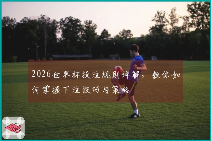 2026世界杯投注规则详解，教你如何掌握下注技巧与策略