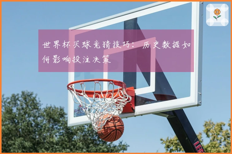 世界杯买球竞猜技巧：历史数据如何影响投注决策