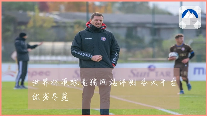 世界杯滚球竞猜网站评测 各大平台优劣尽览