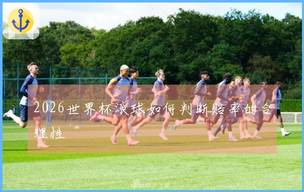 2026世界杯滚球如何判断赔率的合理性