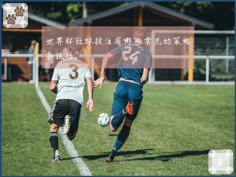 世界杯让球投注有哪些常见的策略和技巧？