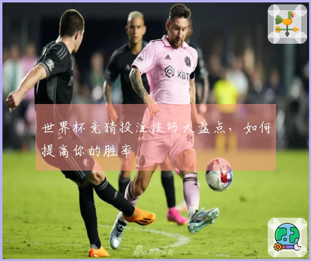 世界杯竞猜投注技巧大盘点，如何提高你的胜率